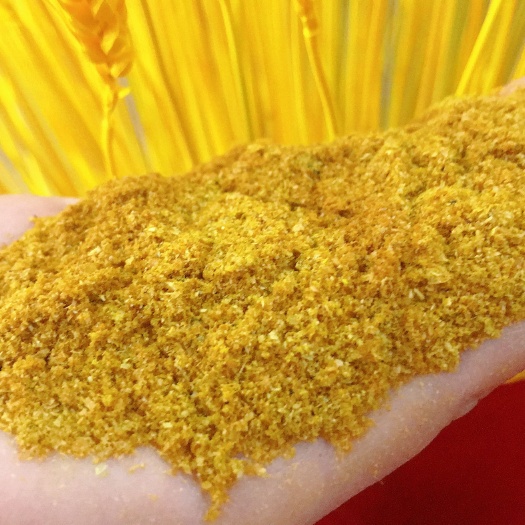 正定县烘干玉米蛋白饲料量大从优能替代部分玉米，豆粕，鱼料