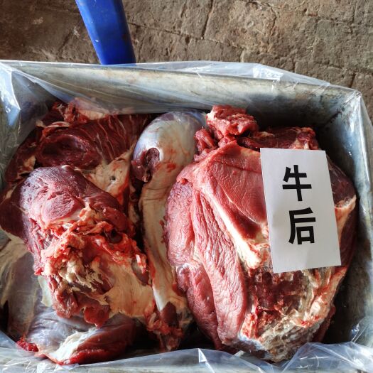通辽牛肉类 牛肉四分体