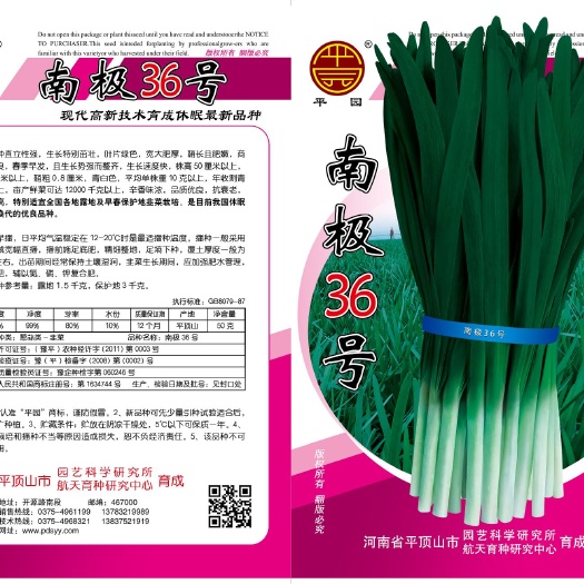 叶县南极36号:韭菜种子，直立性强，生长速度快，叶片绿而肥大
