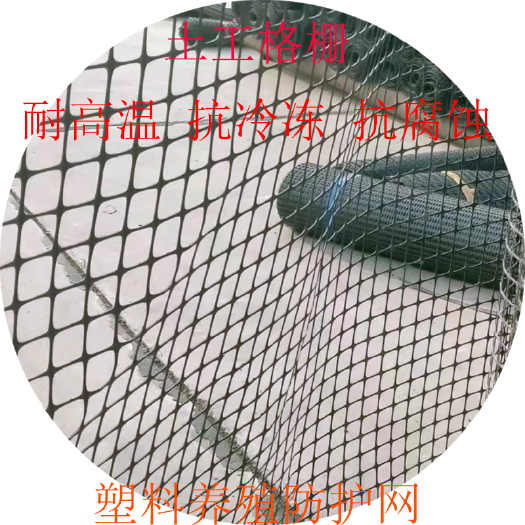 安平县土工格栅单双向塑料加筋钢塑玻纤格栅工程网鸡鸭鹅养殖漏粪围栏
