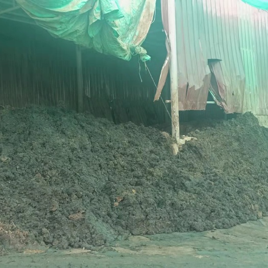 金堂县成都优质/生鸡粪/纯鸡粪/水分50%/常年有货