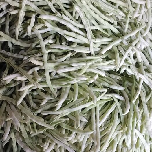 莒县九粒白芸豆 山东力源蔬菜批发市场