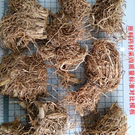 稻芽   糯稻根    干货中药材水洗糯稻根