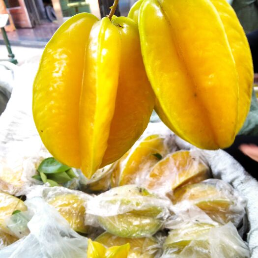 云霄县香蜜杨桃 杨桃——水分足，爆汁甜，解渴润喉