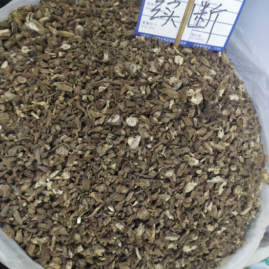 成都续断（川）