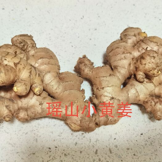 蓝山县【湖南瑶山小黄姜】上市啦！精品质量 价格从优！！！