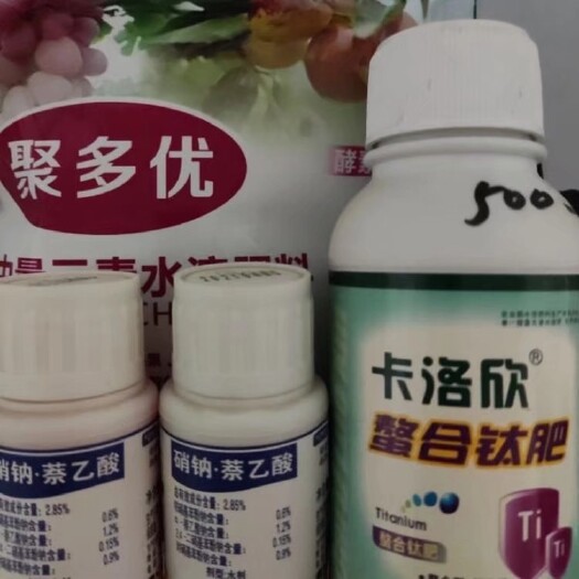 大荔县提苗壮稍套餐 防冬枣落蕾，黄蕾，平头蕾，弱蕾，蕾小，促进花
