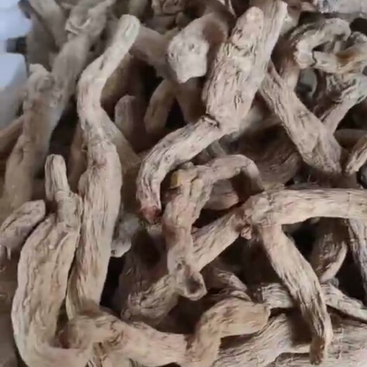 邵东市湘玉竹 湖南湘玉干条个，足干。