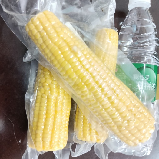 益阳小主玉膳轻食粗粮早餐黄甜玉米一级品厂家直批白包装258g