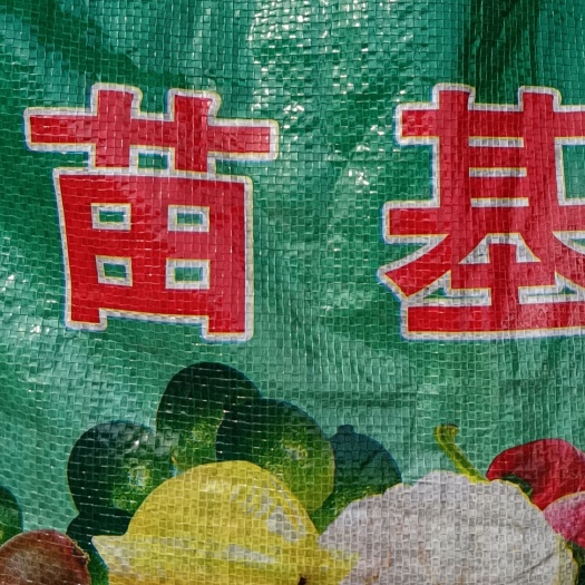 栽培基质 育苗基质