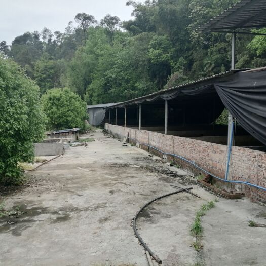重庆市畜牧养殖用地 巴南区二圣镇800平养猪场出zu，带2楼的房子