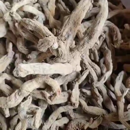 邵东市湘玉竹 干玉竹条玉竹个 足干个中