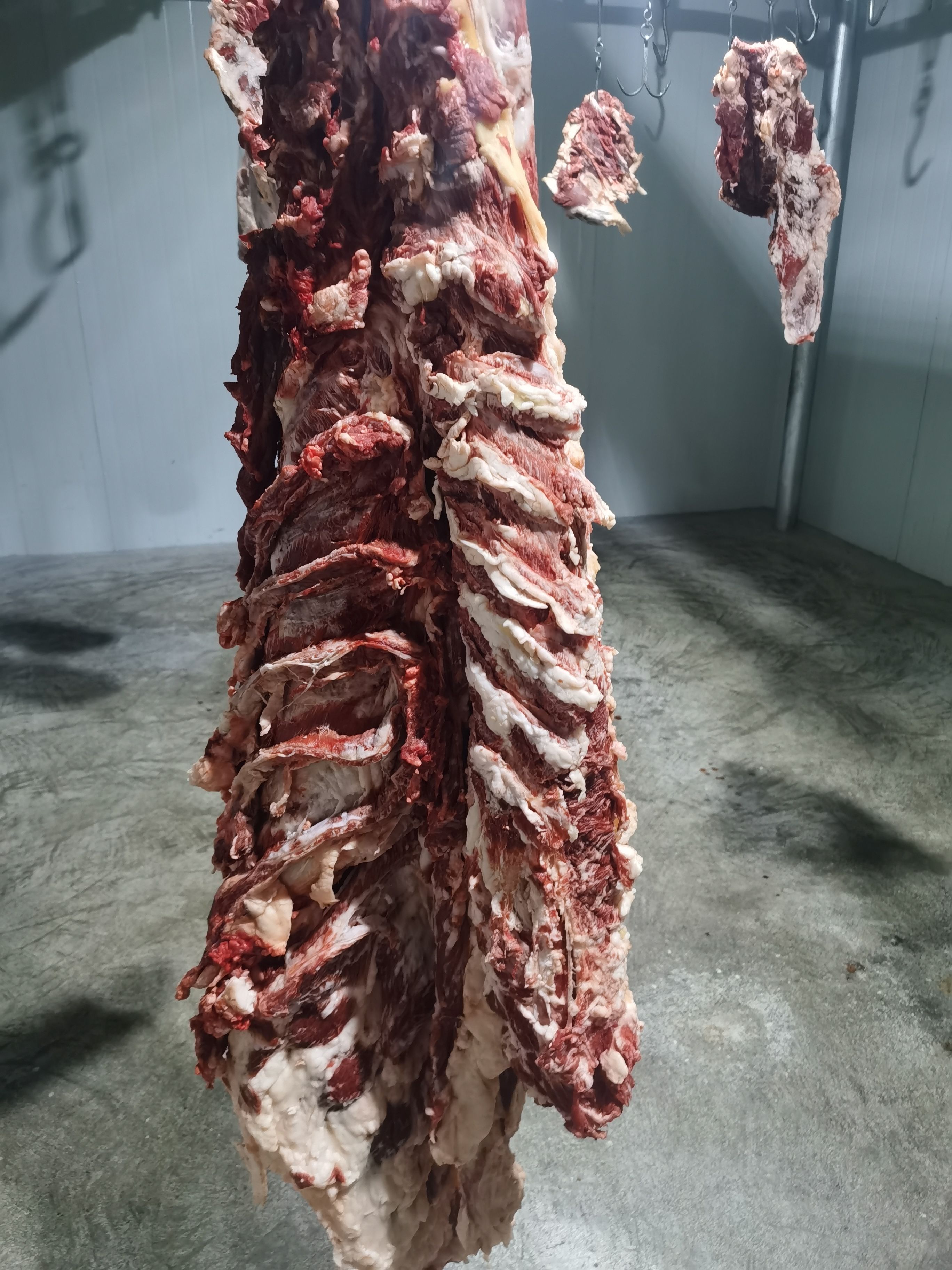 牛肉类