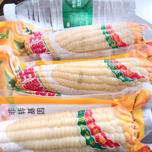 益阳绿色食品认证轻食粗粮早餐超一级甜白糯玉米厂家直供批发