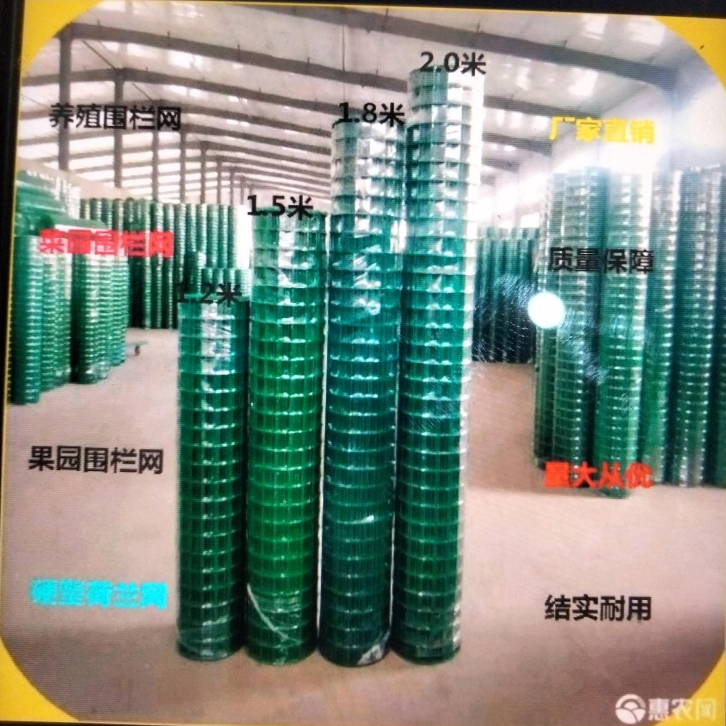 硬塑荷兰网围栏网养鸡鸭鹅养殖防护网隔离钢丝网
