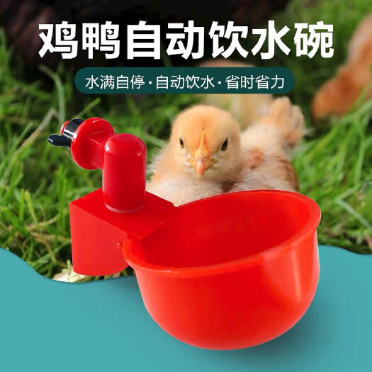 饮水设备 养殖专用饮水器自动饮水器