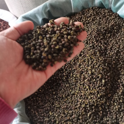 麻椒 四川 干花椒 一级