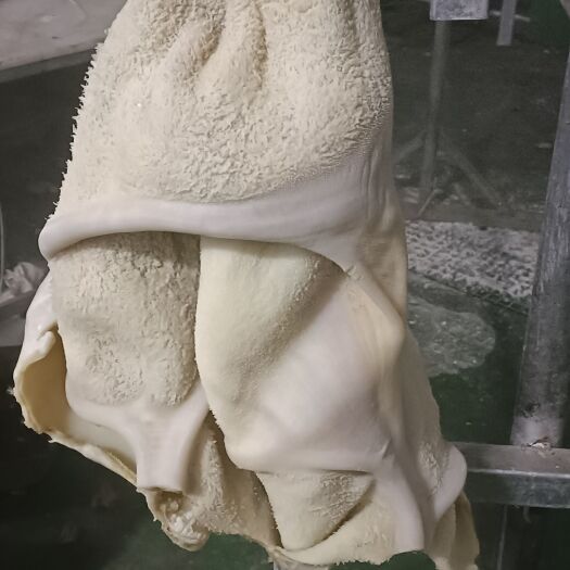永登县国产熟牛肚，无水去油九，十成熟，货源充足