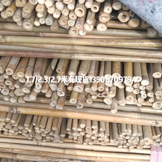 龙游县菜架竹