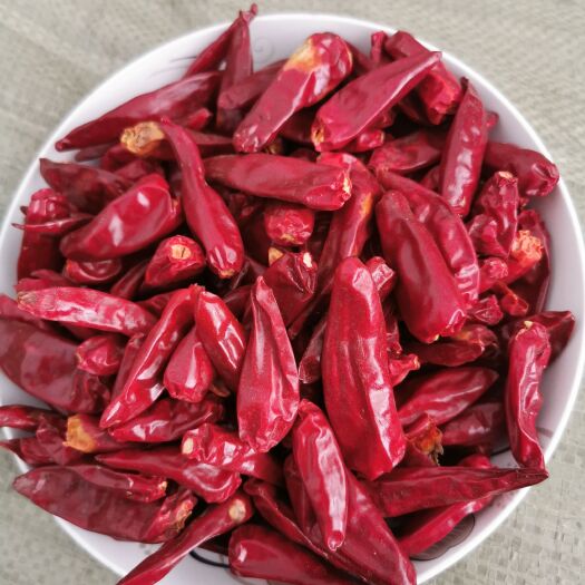 郑州子弹头干辣椒 香辣子单头辣椒