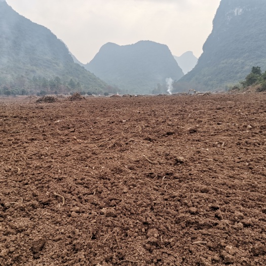 阳朔县山地  200亩新开生地，土质肥沃，询经济种植合作项目（广西