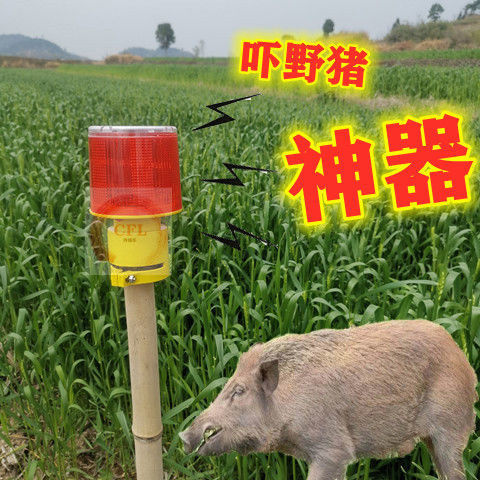 莆田应急灯/手电筒 驱兽灯带声音吓野警示灯太阳能带喇叭夜间驱赶动