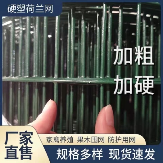 安平县荷兰网 硬塑铁丝网围栏网果园养殖鸡鸭鹅网鱼塘防护圈山网