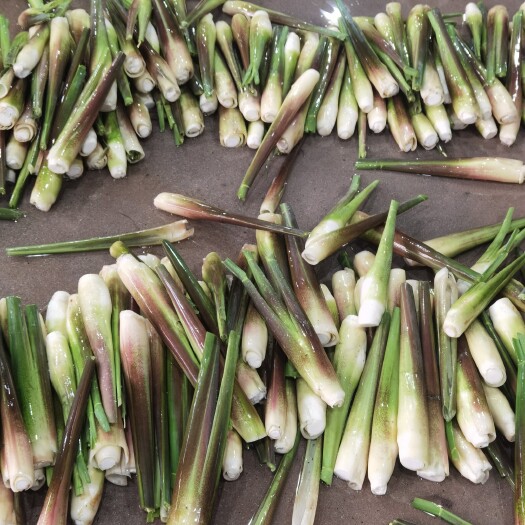 漳州精品茭白走量的来，产地直达！欢迎全国各大平台超市以及电商采购
