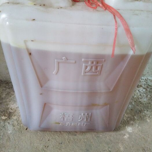 藤县山茶油 农家自产自销正宗山茶子压榨油，茶夫