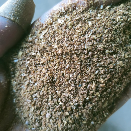 蚌埠酒糟 谷物DDGS