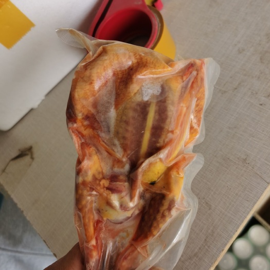 晋州市老鸽子，白条鸽，鸽子肉