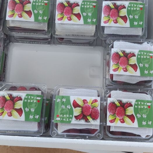 石屏县 新鲜杨梅 精装二十合一