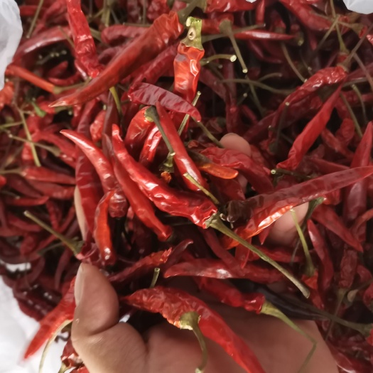 贵港朝天椒干辣椒 干辣椒