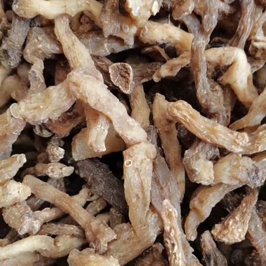 商洛鸡头黄精  鸡头甜黄精 黄精