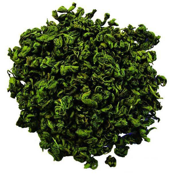 甜茶苗刺儿茶种苗江西种植基地