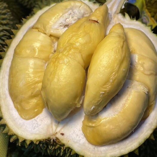 昆明现货泰国甲仑榴莲整果带壳新鲜水果10斤非金枕头无痕一件代发