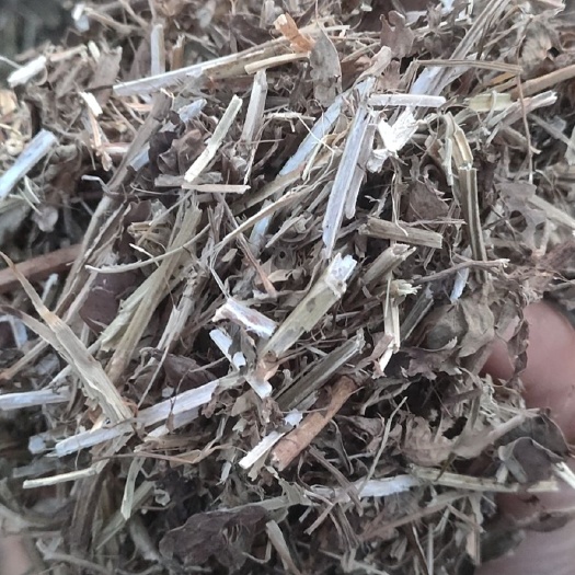 泗县 一级花生秧