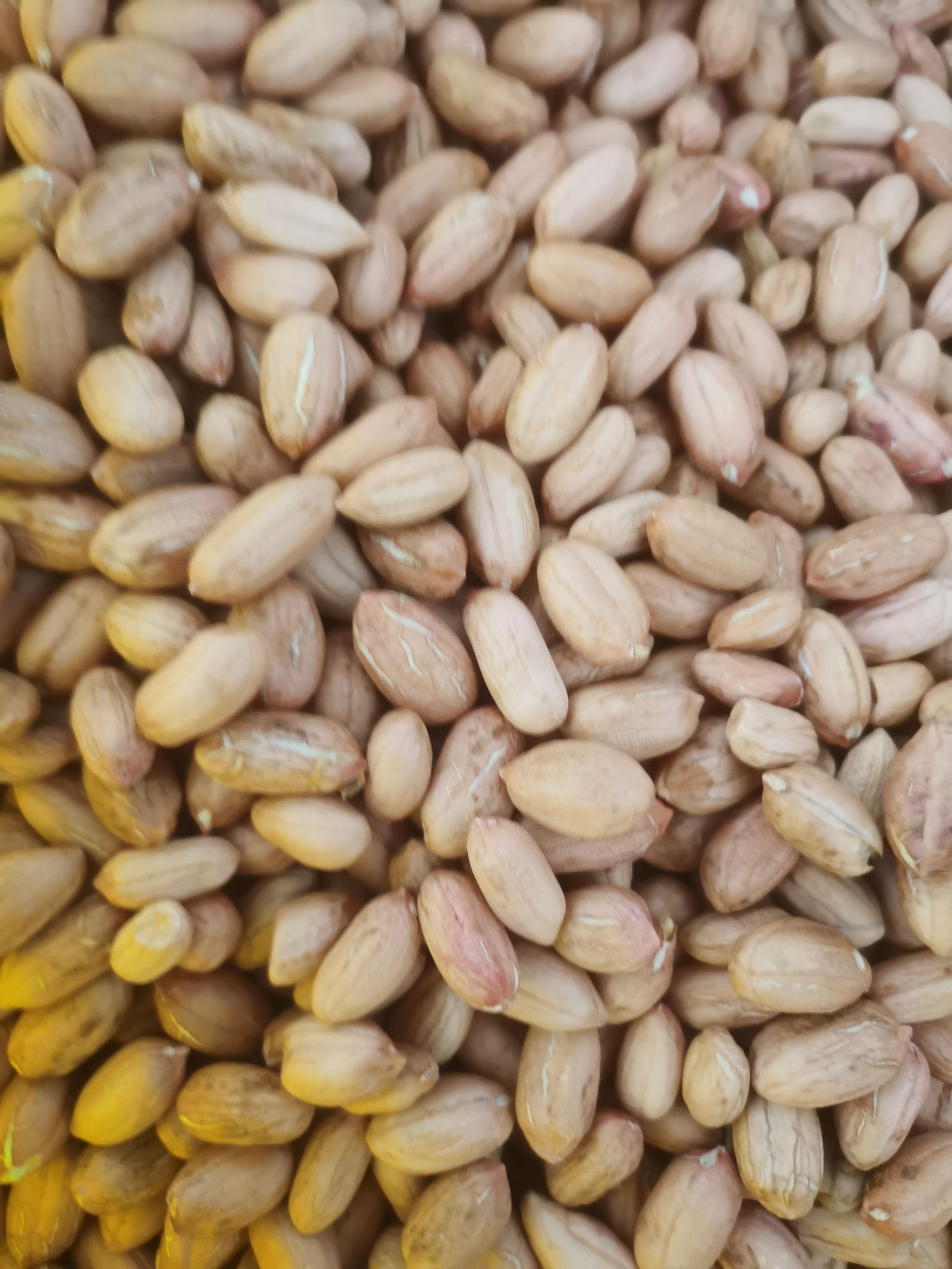大名县花生米（零食） 人工手剥精选豫花19种子米