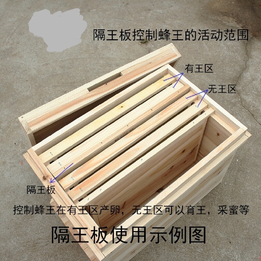 桂平市蜂箱 现货中蜂专用双王箱尺寸规格49*30*30（长，宽，高