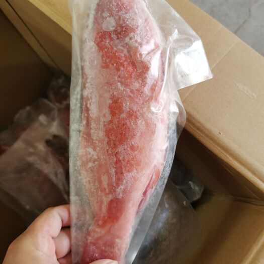琼海市活杀两去极冻东星斑，活鱼极冻东星斑，东星斑产地直销品质保证
