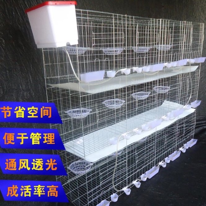 安平县厂家供应鸽笼三层12位鸽子养殖笼肉鸽配对笼 支持定制16位