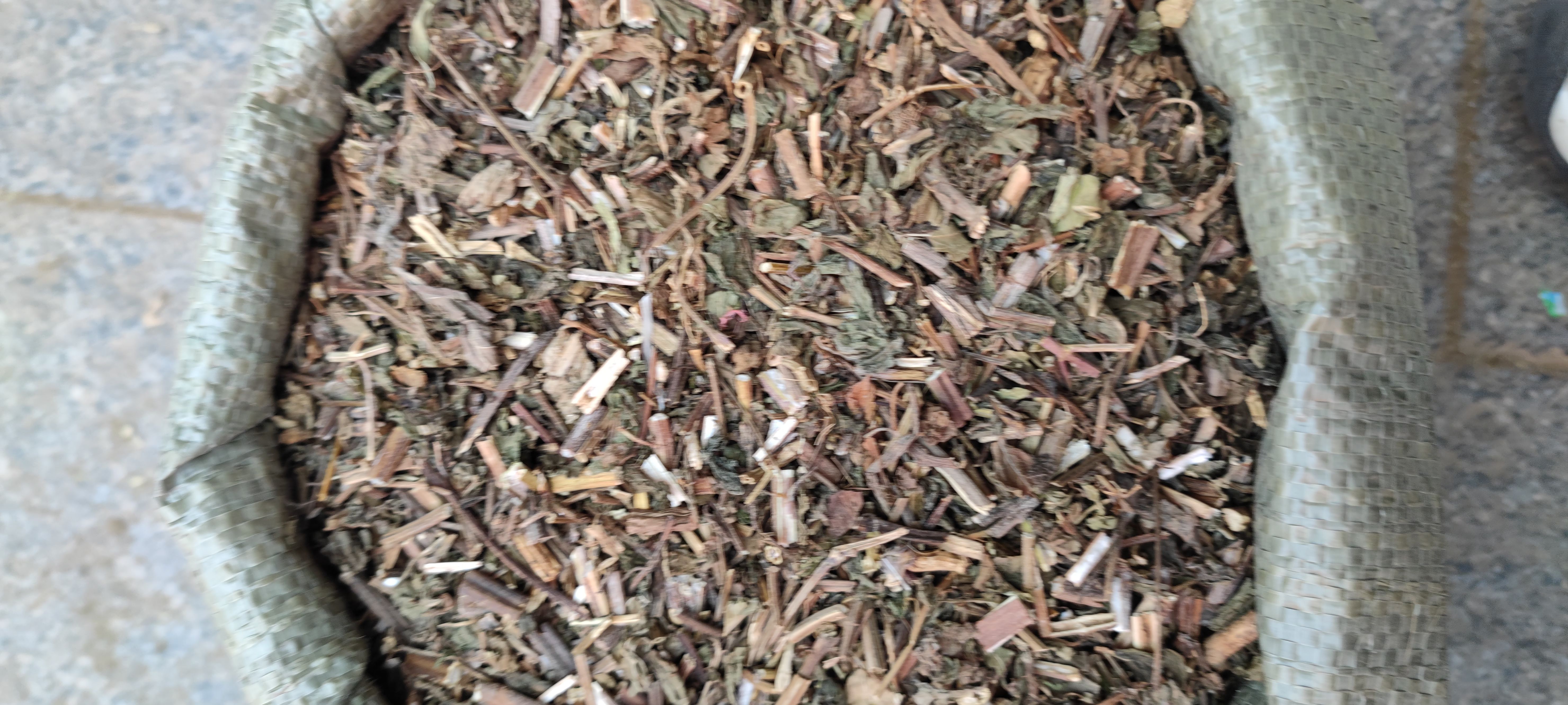 无硫 路路通 各种 各种草药 品种齐全 批发各种中药材