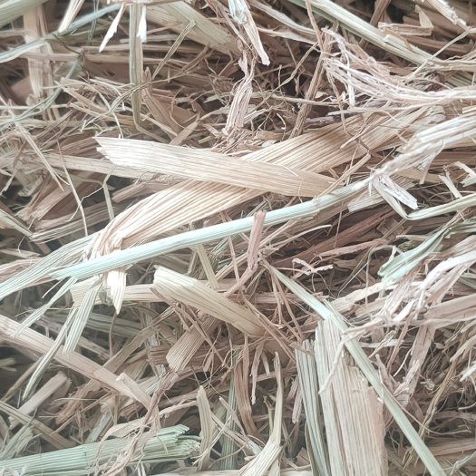 怀远县 二次加工的柔丝稻草