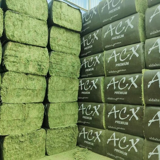 呼和浩特苜蓿草饲料 苜蓿