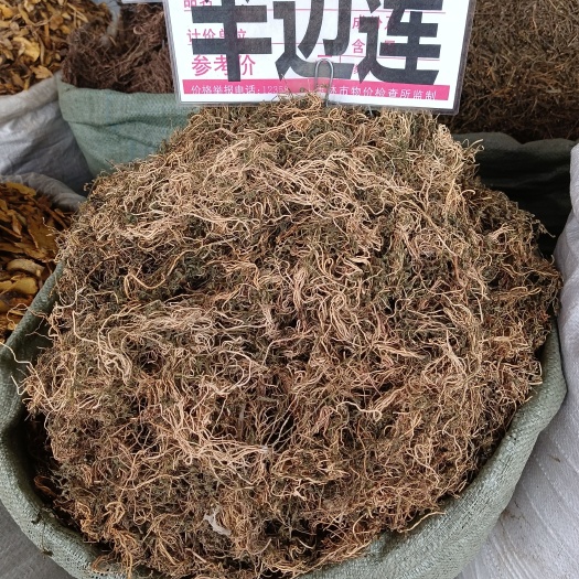 半边莲别名急解索、细米草、半边花、水仙花草、镰么仔草