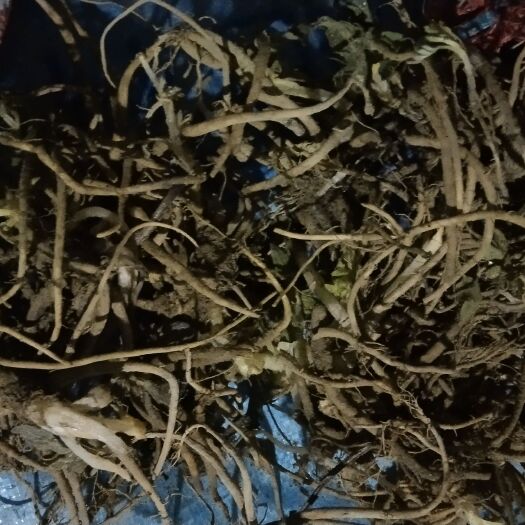 宣恩县缬草，贝母
