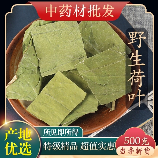正品微山湖荷叶茶新货干荷叶片可打荷叶粉新茶叶花茶500g
