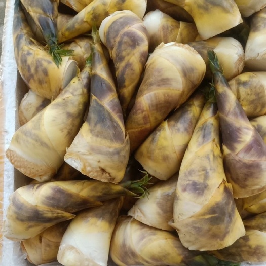 漳浦县 新鲜马蹄笋，嫩，甜