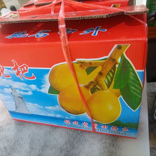 莆田白沙枇杷 福建特产琵琶