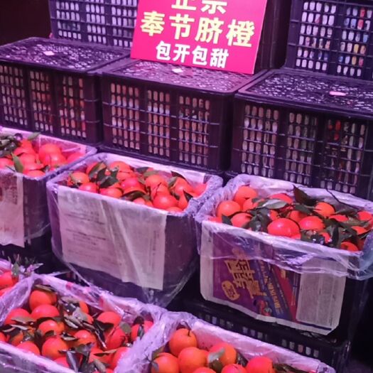 奉节脐橙 重庆市重庆市奉节县 